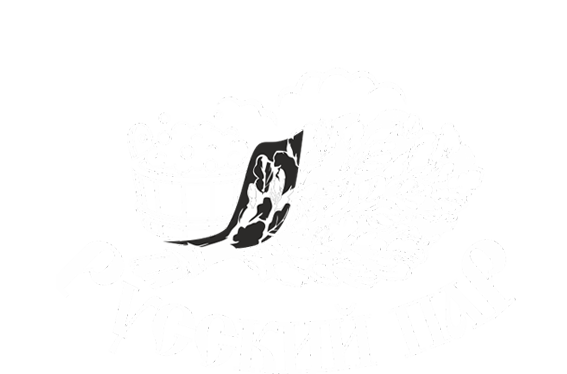 Русский ПАР